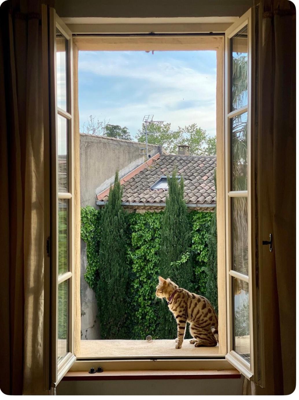Le Figuier Apartment Beauvoisin  ภายนอก รูปภาพ